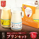 【ふるさと納税】たまご農場直営スイーツ!プリンセット(90g×8本入) Gbn-42 【着日指定可能】 ぷりん プディング 洋菓子 お菓子 スイーツ ギフト ス...