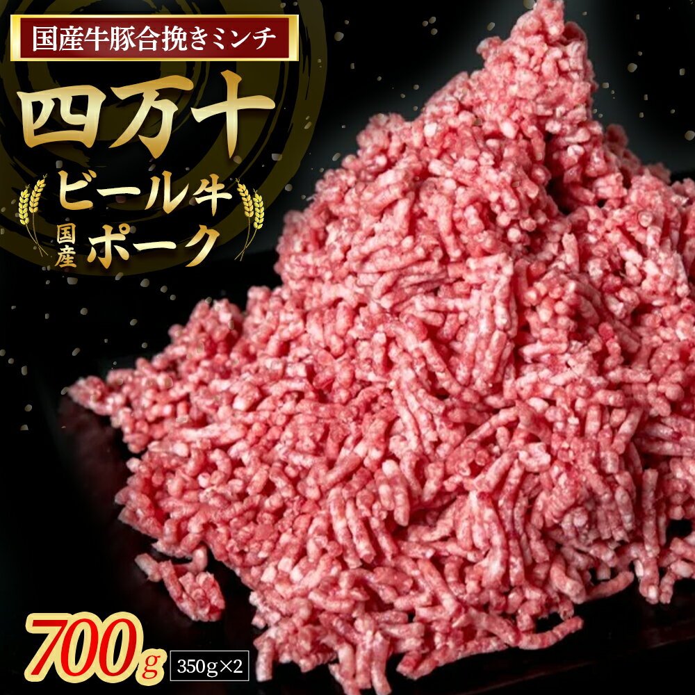 【ふるさと納税】国産の牛肉と豚肉をミンチした合挽肉 700g（350g×2パック）Asz-42のサムネイル