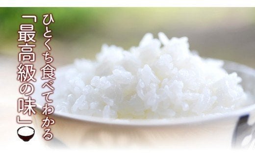 【ふるさと納税】【令和7年産米】四万十育ちの美味しい「仁井田米」にこまる（2kg） Bmu-C51 米 コメ こめ お米 ブランド米 白米 精米 国産 2キロ 低農薬