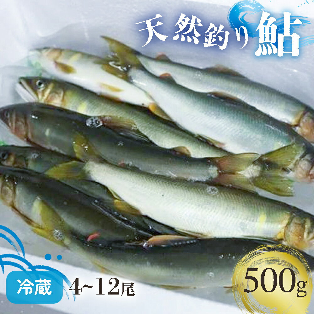 【ふるさと納税】四万十川上流の天然...