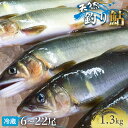 【ふるさと納税】【祝!!生鮎解禁!】四万十川上流の天然釣り鮎 1.3kg【冷蔵6~22尾】【着日指定不可】Esj-33k あゆ アユ 魚 魚介 川魚 塩焼き 冷蔵 鮎 塩焼き 天然