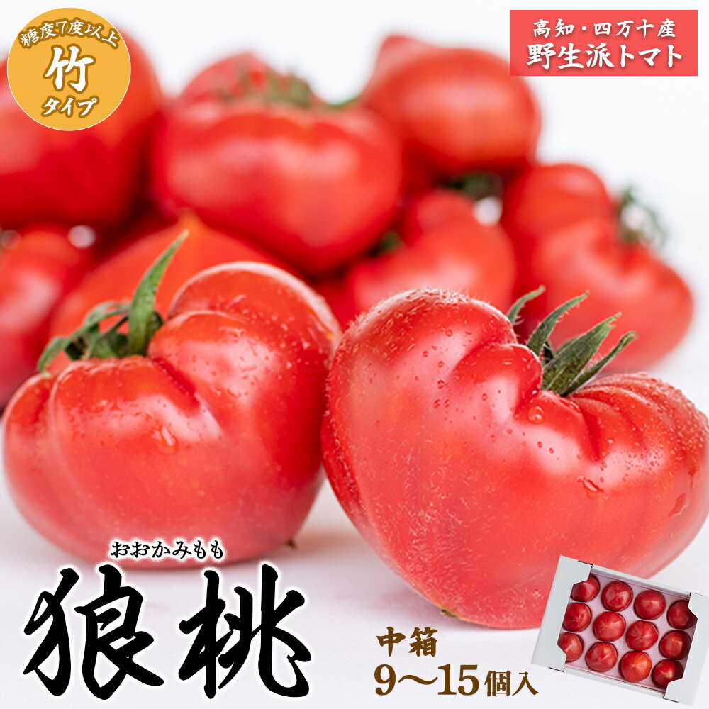 【ふるさと納税】【先行予約／2025年2月下旬から発送】四万十育ち「狼桃」 糖度7度以上 竹タイプ（9?15..