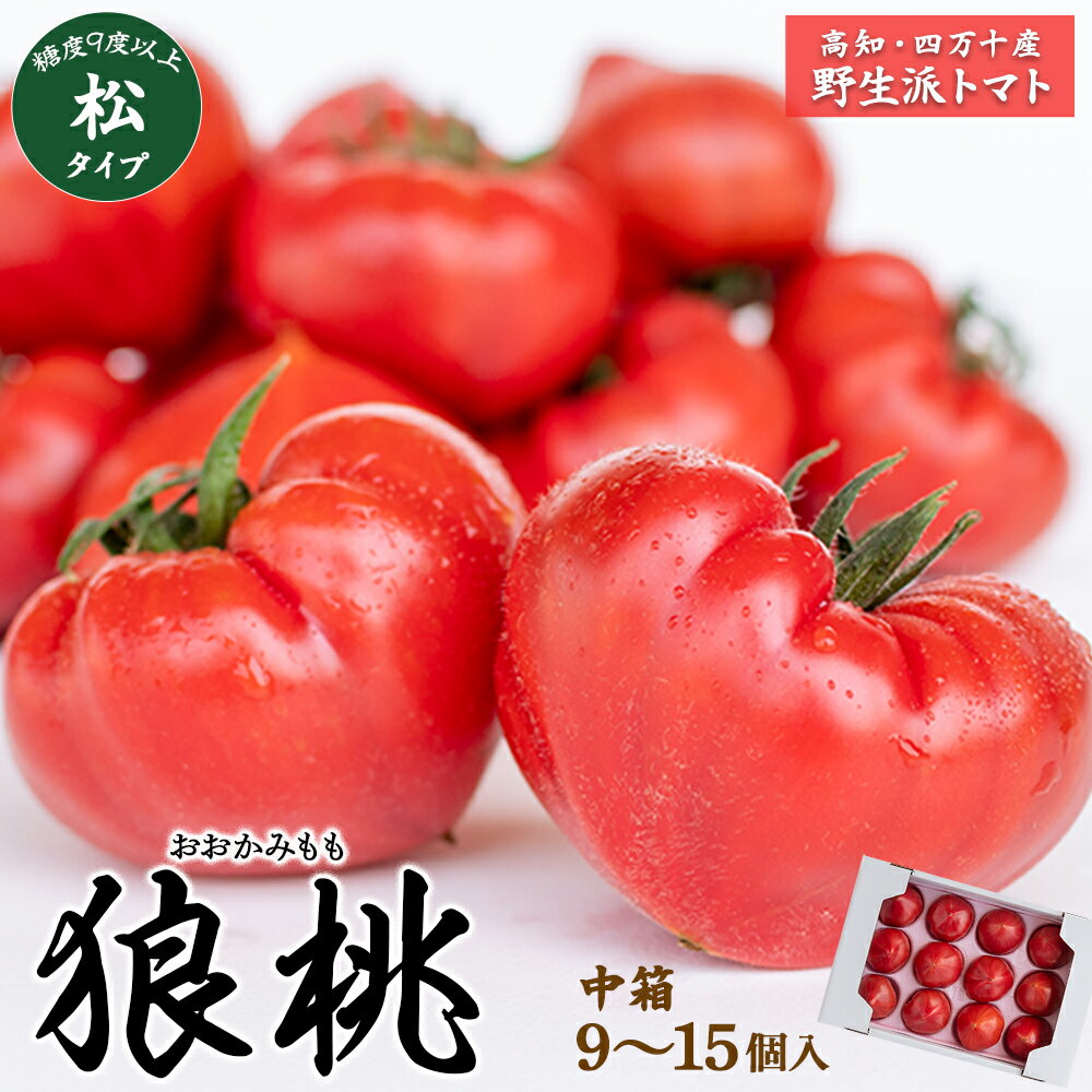 【ふるさと納税】【先行予約／2025年3月中旬から発送】四万十育ち「狼桃」 糖度9度以上　松タイプ 中箱..