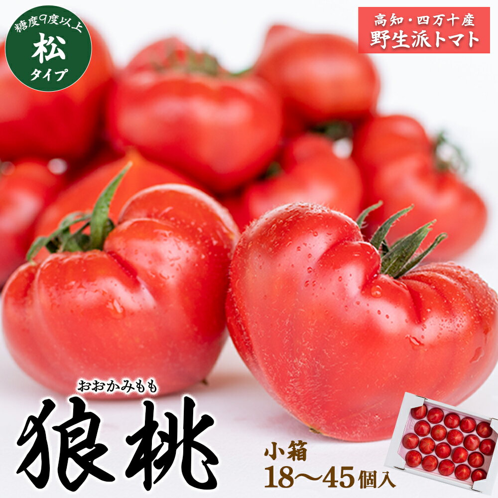 【ふるさと納税】【先行予約／2026年3月中旬から発送】四万十育ち「狼桃」 糖度9度以上 松タイプ 小箱..