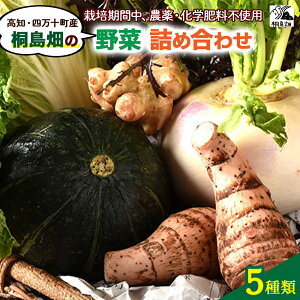 【ふるさと納税】 桐島畑の野菜つめあわせ(5種類)【栽培期間中、農薬・化学肥料不使用】 Fkh-A07 やさい 野菜 国産野菜 野菜セット 野菜詰め合わせ 季節 新鮮フレッシュ 旬 無農薬 産地直送