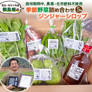 【ふるさと納税】【栽培期間中、農薬・化学肥料不使用】桐島畑の季節野菜(5種類)+ジンジャーシロップ1本 Fkh-11 / やさい 国産野菜 四万十 高知 季節 フレッシュ 旬 無農薬 有機農業 生姜 粗糖 温活 ジンジャーエール ホットジンジャー