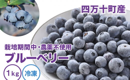 1位! 口コミ数「0件」評価「0」【数量限定／2024年産】栽培期間中 農薬不使用ブルーベリー〈冷凍〉（1kg）／Qdr-91