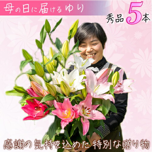 【ふるさと納税】Osy-06 母の日に感謝を「花束」に込めて。【オリエンタルリリー5本】