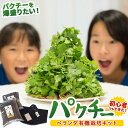 【ふるさと納税】Fis-B01「パクチーを爆盛りたい!」ベランダ有機栽培キット「初心者でもできた!」 趣味 ガーデニング 家庭菜園 園芸 ベランダ菜園 プランター 種 種子 プロ仕様の肥料 培養土 トムヤムクン タイ料理に