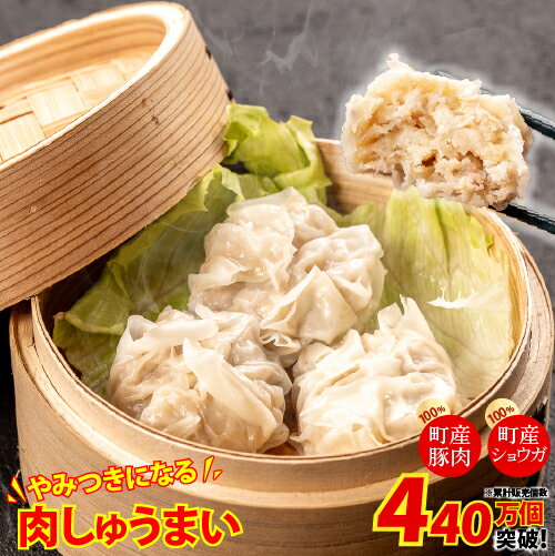 【ふるさと納税】 やみつきになる美味さ!旨味がギュッと凝縮された肉しゅうまい Qak-26 肉しゅうまい ニク シュウマイ 特産品 名産品 お取り寄せ 人気 お...