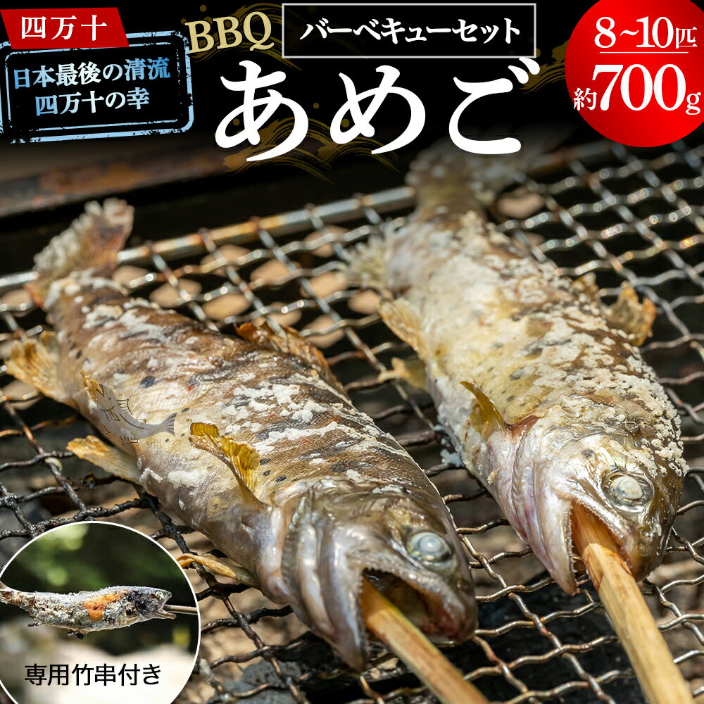 【ふるさと納税】Eay-01 子どもが喜ぶバーベキュー!清流育ちの四万十あめご【BBQ専用竹串付き】 おつまみ バーベキュー BBQ アウトドア アメゴ アマゴ...