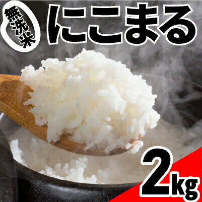 【ふるさと納税】Bos-07 家事をサボっておいしいお米を食べてください！食べきりサイズの無洗米