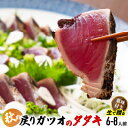 【ふるさと納税】【生の鮮度】戻りガツオのタタキ6-8人前(薬味付き) 冷蔵 Efs-09 戻りガツオ 高知 四万十町 鰹 850g以上 6-8人前 鰹 高知 海...