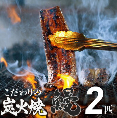 【ふるさと納税】四万十地焼き蒲焼き鰻2尾セット うなぎ ウナ