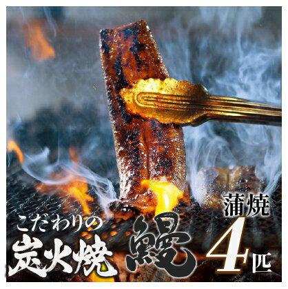 【ふるさと納税】 四万十地焼き蒲焼き鰻4尾セット うなぎ ウナギ たれ 入り 小分け 惣菜 国産 冷凍 土用 丑の日 Esg-28 国産 うなぎ 蒲焼 鰻 塩鰻 ウナギ