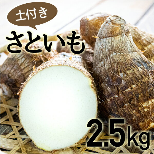 【ふるさと納税】四万十町産「土付きさといも」2.5kg Fiz-A03