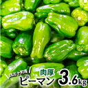 肉厚ジューシー！エコ栽培でえぐみ少ないピーマン3.6Kg Fms-06 農産物 新鮮 ぴーまん 野菜 大量