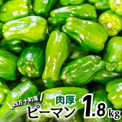 肉厚ジューシー!エコ栽培でえぐみ少ないピーマン1.8Kg Fms-A05 農産物 新鮮 ぴーまん 野菜 大量