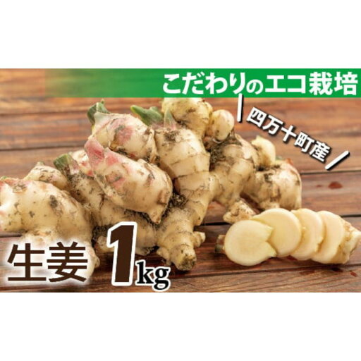 【ふるさと納税】【予約受付】ミネラル豊富なエコ栽培の生姜1kg /Fms-20 しょうが ジンジャー おかず 野菜 大容量 【ふるさと納税】【予約受付】ミネラル豊富なエコ栽培の生姜1kg /Fms-20 しょうが ジンジャー おかず 野菜 大容量