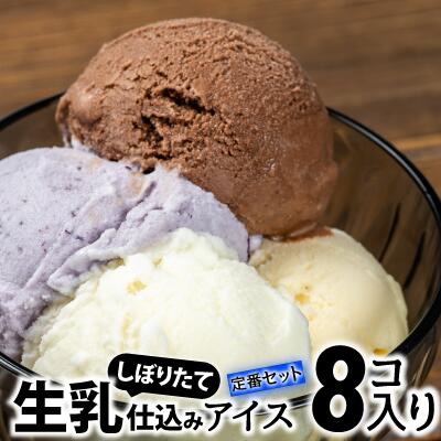 【ふるさと納税】搾りたて生乳仕込みの濃厚ミルクアイス定番フレーバー　8個セット Qak-A33 アイスクリーム アイス アイスセット バニラアイス ブルーベリーアイス いちごアイス イチゴアイス チョコ チョコアイス アイス大容量のサムネイル