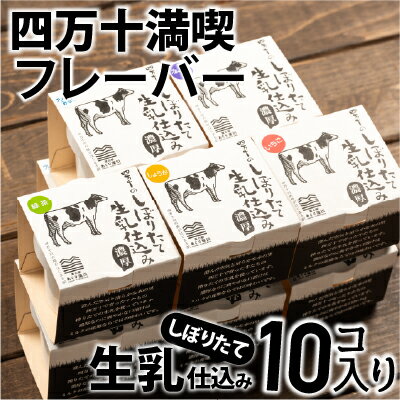 搾りたて生乳仕込みの濃厚ミルクアイス四万十満喫フレーバー5種10個セット Qak-35 アイスクリーム アイス アイスセット バニラアイス ブルーベリーアイス いちごアイス イチゴアイス しょうがアイス 生姜アイスアイス大容量