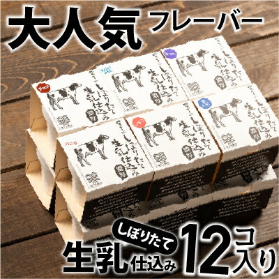 58位! 口コミ数「1件」評価「4」搾りたて生乳仕込みの濃厚ミルクアイス　人気フレーバー12個セット　Qak-36 アイスクリーム アイス アイスセット バニラアイス ブルーベ･･･ 