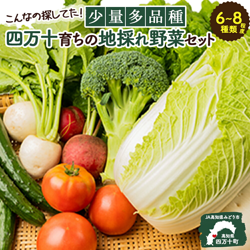 【ふるさと納税】 こんなの探してた!少量多品種 四万十育ちの地採れ野菜セット Qjs-A21 野菜便 やさい 国産野菜 季節 フレッシュ 旬 しょうが にら ピーマン トマト きゅうり せり しいたけ ほうれん草 菜の花 えんどう豆 なす みょうが かぼちゃ 大根