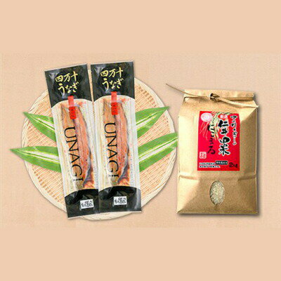 【ふるさと納税】四万十うなぎ蒲焼き2本＋極上米2kgのうな重セット Esu-121のサムネイル