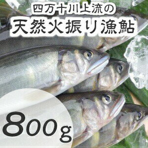 Esj-11k 四万十川上流の天然鮎　冷凍　火振り漁鮎（4～12尾）【着日指定不可】