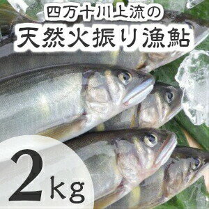 【ふるさと納税】Esj-14k 四万十川上流の天然鮎　冷凍　火振り漁鮎（6～22尾）【着日指定不可】