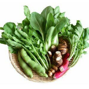 しまんと流域野菜つめあわせ(5種類)[農薬不使用]Fkh-A07 やさい 国産野菜 季節 フレッシュ 旬