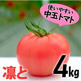 【ふるさと納税】受付4か月で800件超え四万十産トマト「凛と」Fbg-03
