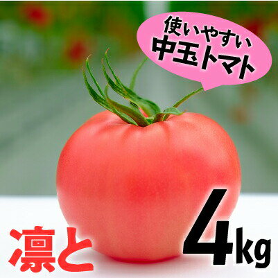 【先行予約】受付4か月で800件超え四万十産トマト「凛と」Fbg-003