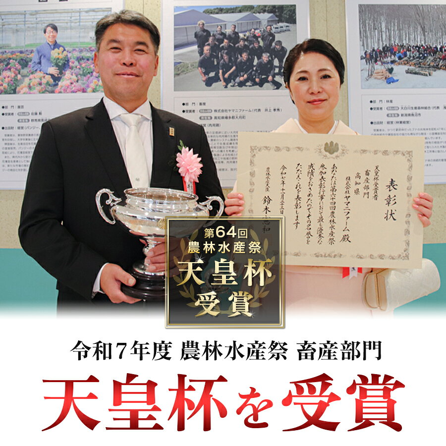 【ふるさと納税】 国産 よさこい尾鶏 定期便 4回 鶏もも肉 毎回2kg×4回（200g×10袋） 天皇杯受賞 3ヶ月ごと 四半期 1年 一年 鶏モモ モモ肉 照り焼き 親子丼 チキンステーキ チキンソテー 唐揚げ からあげ とり肉 鶏肉 切り身 6万円 f394246-otsuki-10001364 高知県大月町 サンプル画像2