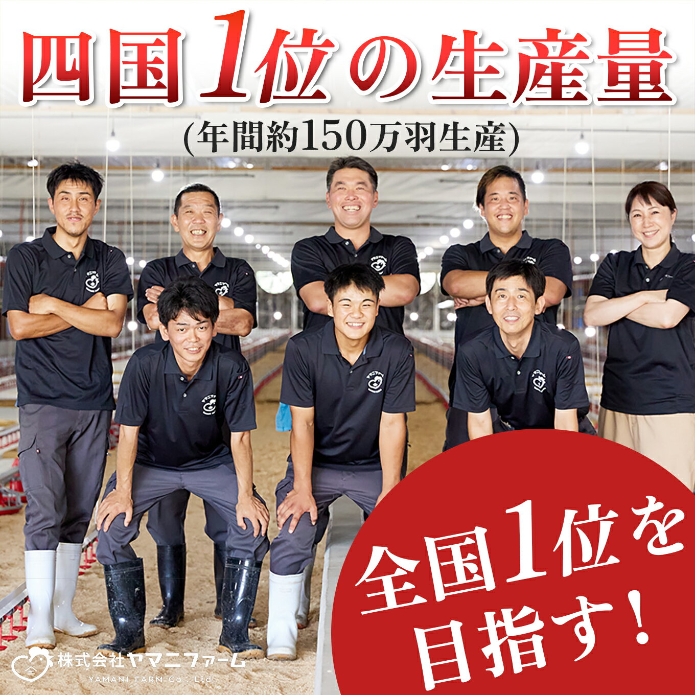 �ڤդ뤵��Ǽ�ǡ۷��� ��������ڤ� 900g ����� 6�� ��900g��6��� �ܤ�� ����� ������ ���Ȥ� ��� �֥��ɷ� ��ͥ���� ŷ���� ���� ��ʬ�� ���� ���ʤ� ������ ���å� �֥��ڤ� ���������� 5.4kg ������ �褵�������� ���θ� ���Į