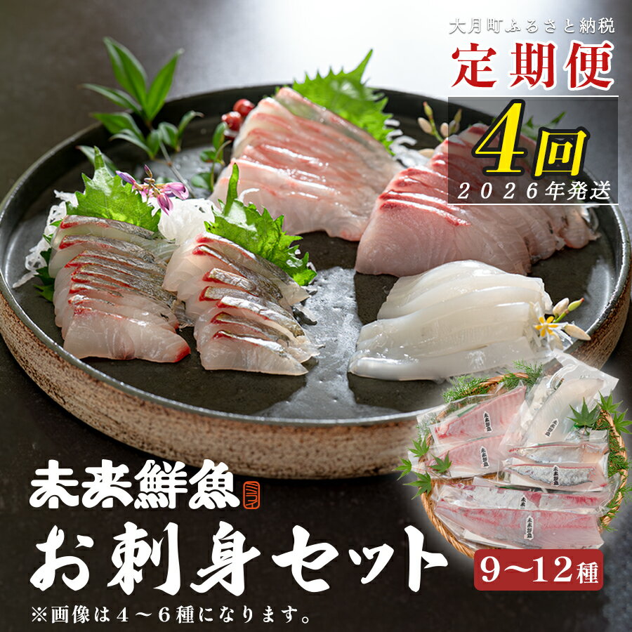 [定期便4回]旬のお刺身用柵セット 9〜12種 刺身 高知県産|盛り合わせ 食べ比べ 鮮度抜群 産地直送 海の幸 海鮮 魚介 新鮮 おつまみ 酒 海鮮丼 寿司 厳選 ギフト おすすめ 人気 お歳暮 お取り寄せ グルメ 母の日 贈り物 おうち居酒屋