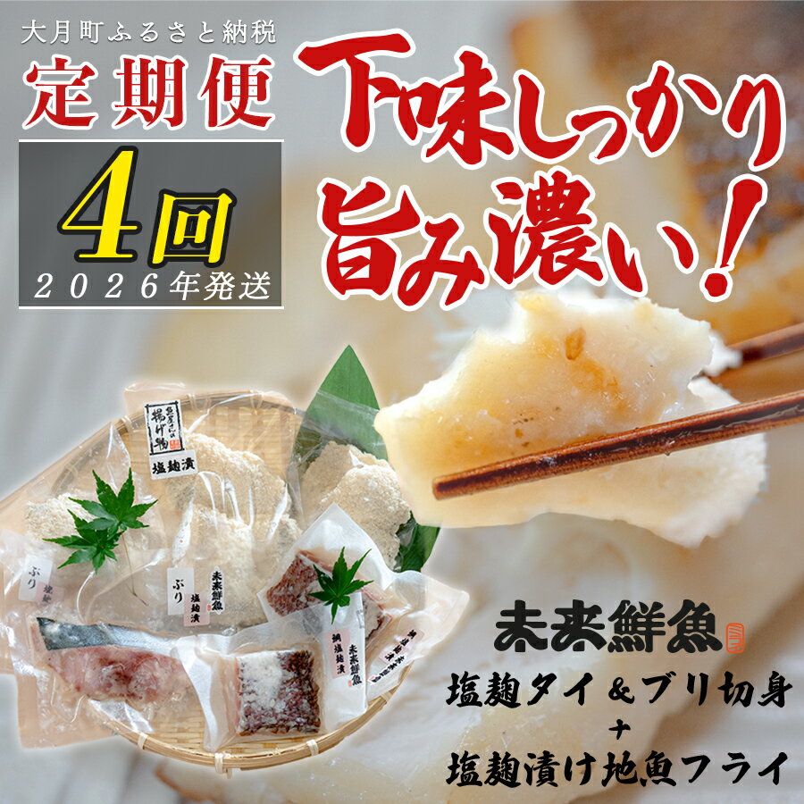 [定期便4回]塩麹に漬け込んだタイ&ブリ&地魚フライ|高知県産 白身魚 鯛 魚 たい 鰤 ぶり 揚げ物 麹 米麹 塩こうじ 天日塩 おすすめ 新鮮 魚介 海鮮 ビール おつまみ ご飯 お米 おかず 冷凍 便利 時短 お取り寄せ 贈答 ギフト 国産
