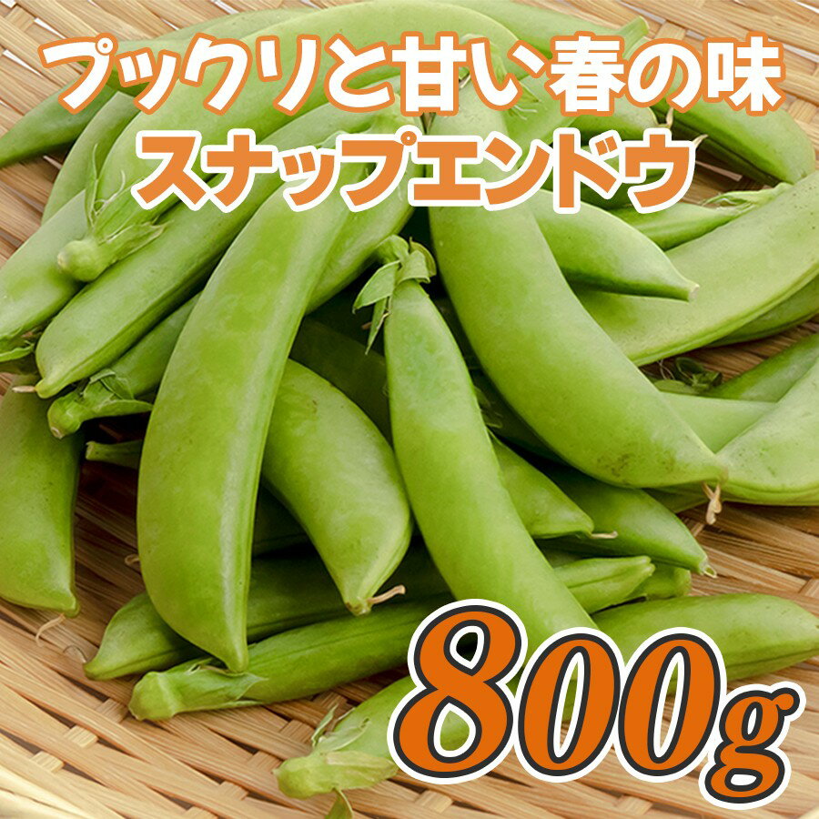 スナップエンドウ 800g 豆 えんどう|スナップえんどう 産地直送 新鮮野菜 旬の春野菜 採れたて 厳選 甘い ハウス サラダ 天ぷら お弁当 彩り みずみずしい フレッシュ 季節 農家応援 生産者応援 家庭用 おいしい 旬 健康 高知県 大月町