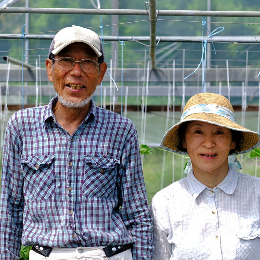 【ふるさと納税】スナップエンドウ 800g 豆 えんどう｜スナップえんどう 産地直送 新鮮野菜 旬の春野菜 採れたて 厳選 甘い ハウス サラダ 天ぷら お弁当 彩り みずみずしい フレッシュ 季節 農家応援 生産者応援 家庭用 おいしい 旬 健康 高知県 大月町