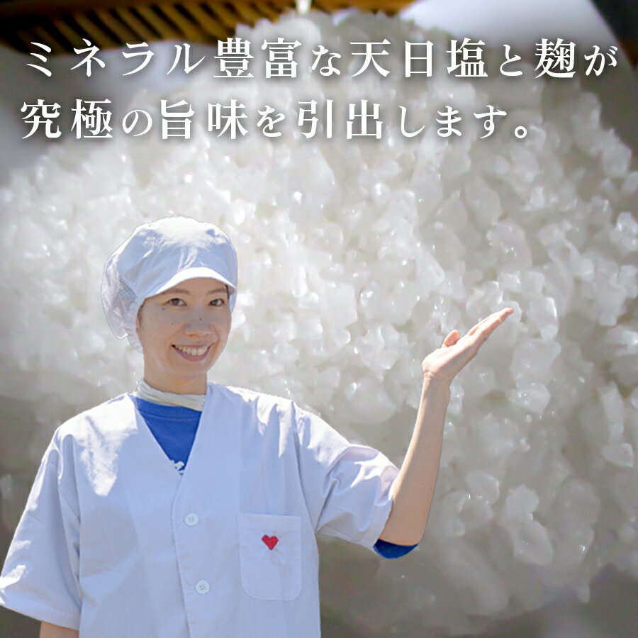 【ふるさと納税】高知県産 地魚の塩麹フライ｜白身フライ サクサク 揚げ物 麹 米麹...