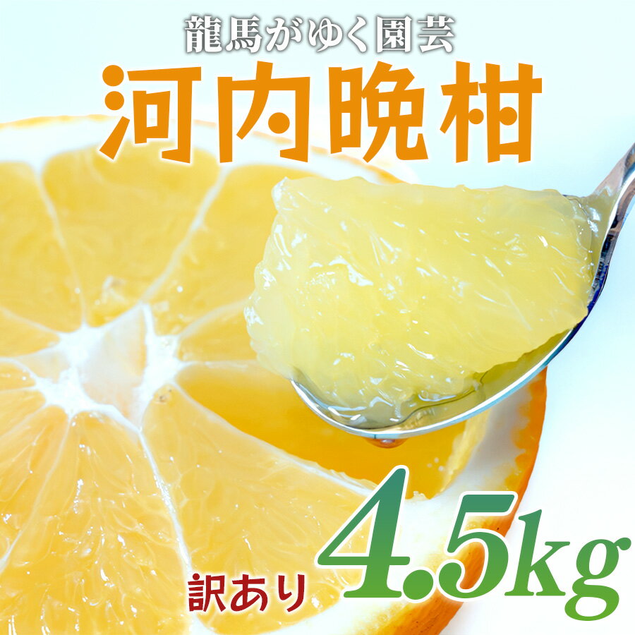 [訳あり] 河内晩柑 4.5kg (M〜5L) ばんかん 晩柑 バンカン 夏文旦 家庭用 みかん 蜜柑 柑橘 フルーツ 果物 サイズミックス 初夏 夏 ジュース お酒 お取り寄せ ビタミン 高知県 大月町 龍馬がゆく園芸