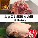 大月町で育てられた力豚(りきぶた) とよさこい尾鶏を約3.4kgのセットでお届けします！ 【名称】豚肉・鶏肉セット 【産地名】高知県大月町 【内容量】 ●大月町産力豚 コマ肉 400g×2パック 計800g ウデ肉 200g×3パック 計6...