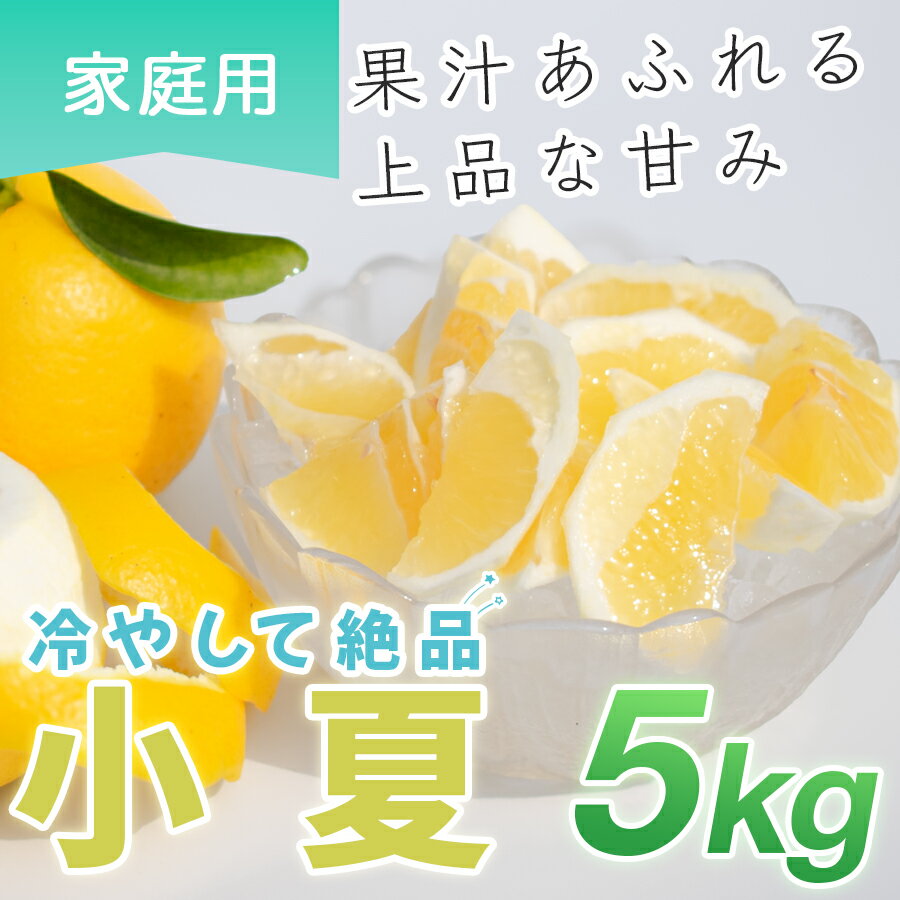 �ڤդ뤵��Ǽ�ǡ۾��� 5kg ������ ������ �˥塼���ޡ������ ���� �ߤ��� �Ρ���å��� ���ʤ� ������� ��ʪ ��ľ �ܤβ�ʪ ������ ����ľ�� ��...