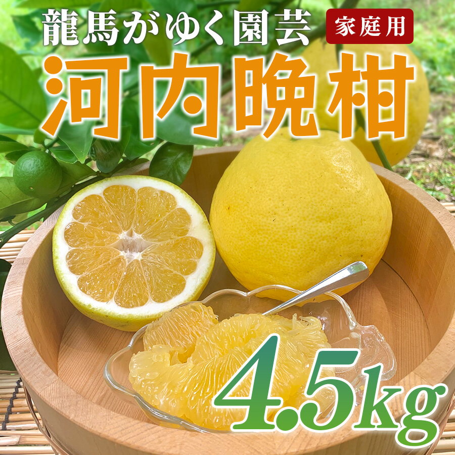 【ふるさと納税】河内