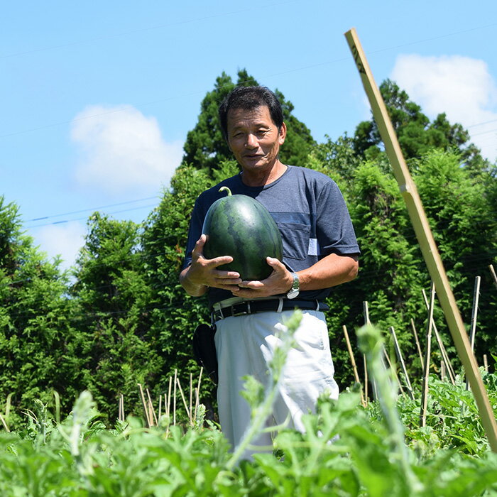 【ふるさと納税】抜群の甘さ！ スイカ 2玉 大玉 (6kg以上) 甘い 高糖度 西瓜 すいか 種なし 縞スイカ 黒玉 ギフト お中元 御中元 産地直送 旬 果物 フルーツ 取り寄せ ねばねばファーム 高知県 大月町産