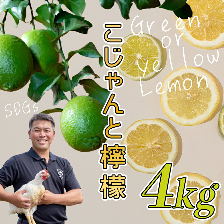 【ふるさと納税】こじゃんとレモン 4kg｜国産 高知県 大月町 レモン 檸檬 レモン水 フルーツ グリーンレモン イエローレモン 果実 柑橘 新鮮 ビタミンC 採れたて フレッシュ 季節の果物 産地直送 美容 健康 安心安全 国産レモン ギフト おすすめ