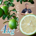 【ふるさと納税】こじゃんとレモン 4kg|国産 高知県 大月町 レモン 檸檬 レモン水 フルーツ グリーンレモン イエローレモン 果実 柑橘 新鮮 ビタミンC ...
