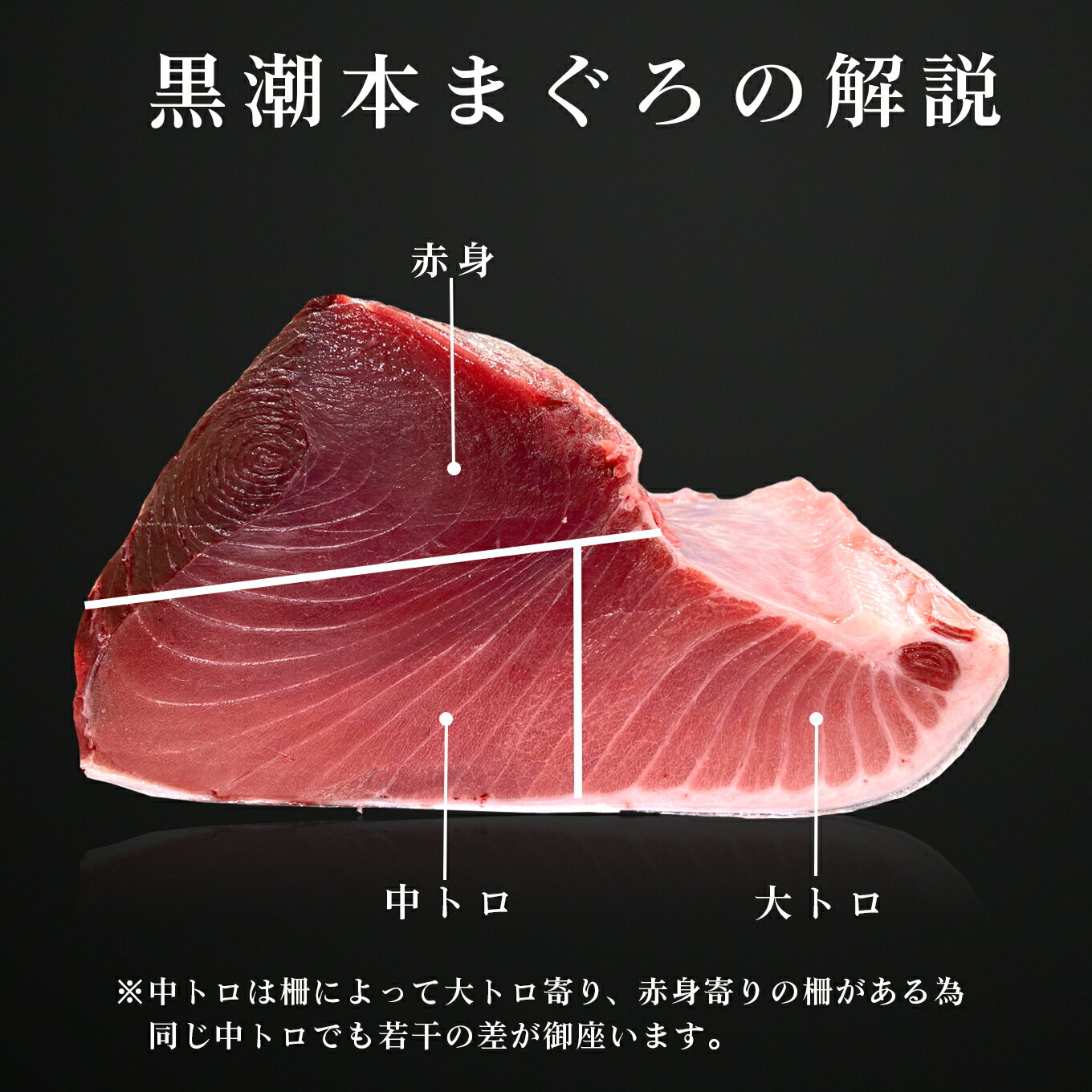 【ふるさと納税】【訳アリ】養殖本マグロ 赤身 中トロセット 1kg 黒潮本まぐろ｜不定貫 不揃い 2種 刺身用 家庭用 養殖まぐろ 最優秀賞受賞 日本一 配達日指定可 本まぐろ まぐろ 鮪 訳あり ワケあり 小分け 丼 寿司 海鮮 魚 柵 産地直送 高知県 大月町
