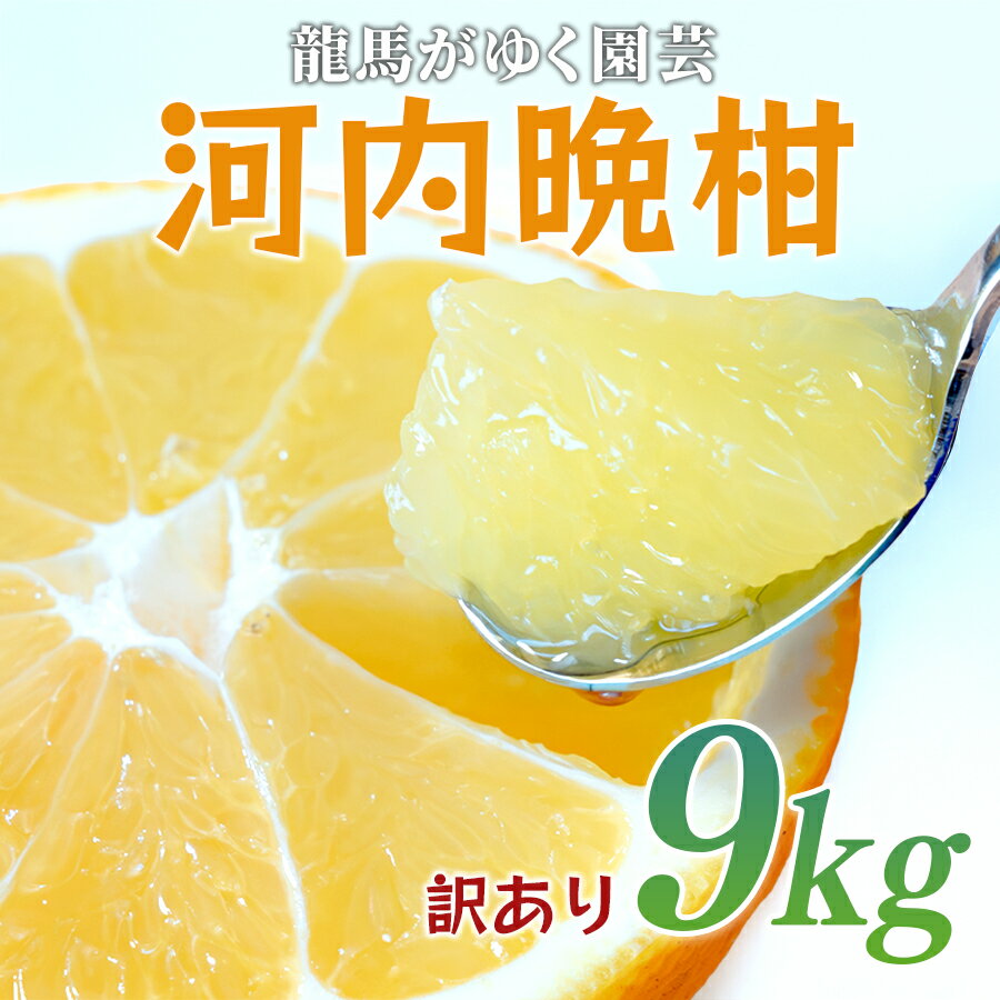 [訳あり] 河内晩柑 9kg (M〜5L) 大容量 ばんかん 晩柑 バンカン 夏文旦 家庭用 みかん 蜜柑 柑橘 フルーツ 果物 サイズミックス 初夏 夏 ジュース お酒 お取り寄せ ビタミン 高知県 大月町 龍馬がゆく園芸