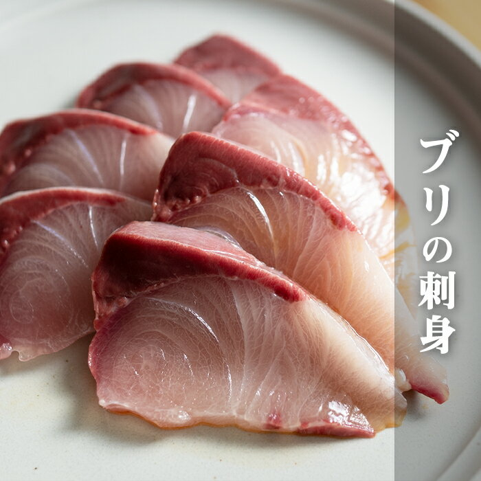 【ふるさと納税】高知県産 ぶり 半身 活〆 1kg～ 鰤 ブリ 刺身 冷蔵｜新鮮 脂のり お刺身 刺し身 さしみ 煮付け ぶりしゃぶ ぶり大根 お正月 年末配送 鮮魚 海鮮 海鮮丼 海鮮グルメ 年末年始 おせち 贈答 ギフト 産地直送 高知 大月町 国産